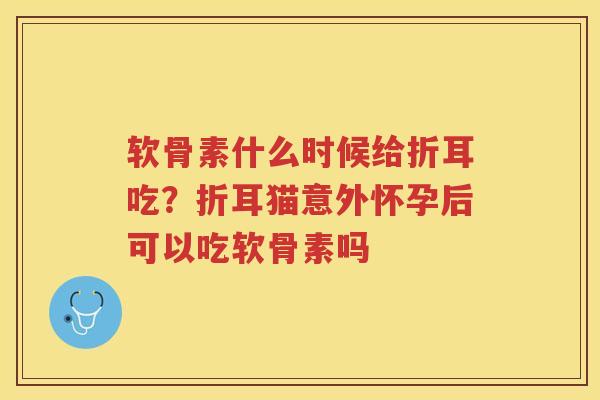 软骨素什么时候给折耳吃？折耳猫意外怀孕后可以吃软骨素吗