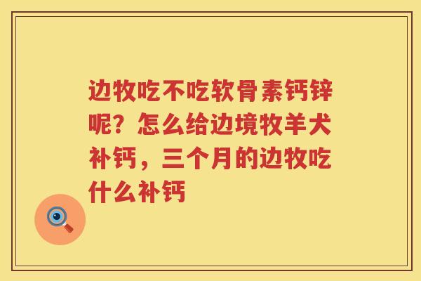 边牧吃不吃软骨素钙锌呢？怎么给边境牧羊犬补钙，三个月的边牧吃什么补钙