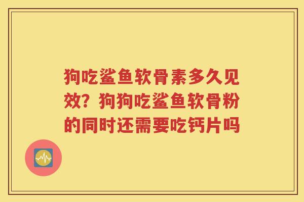 狗吃鲨鱼软骨素多久见效?狗狗吃鲨鱼软骨粉的同时还需要吃钙片吗 狗吃鲨鱼软骨素多久见效?狗狗吃鲨鱼软骨粉的同时还需要吃钙片吗
