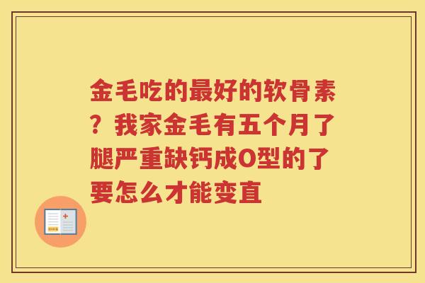 金毛吃的好的软骨素?我家金毛有五个月了腿严重缺钙成O型的了要怎么才能变直 金毛吃的好的软骨素?我家金毛有五个月了腿严重缺钙成O型的了要怎么才能变直