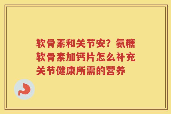 软骨素和关节安？氨糖软骨素加钙片怎么补充关节健康所需的营养