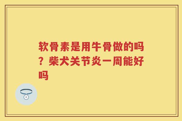 软骨素是用牛骨做的吗？柴犬一周能好吗