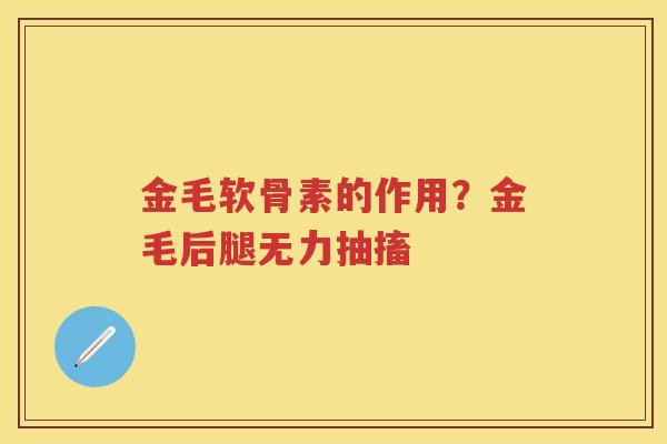 金毛软骨素的作用?金毛后腿无力抽搐 金毛软骨素的作用?金毛后腿无力抽搐