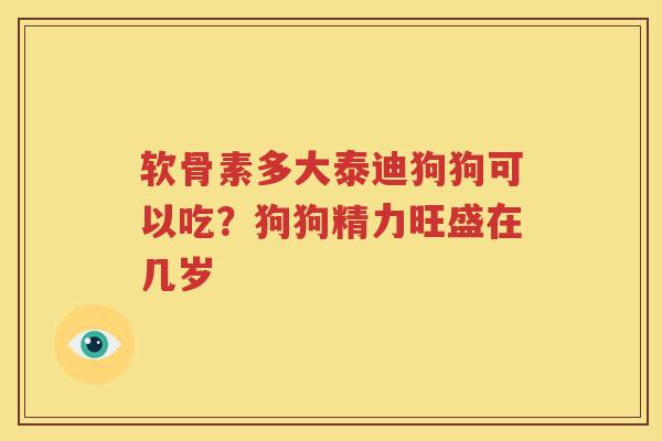 软骨素多大泰迪狗狗可以吃?狗狗精力旺盛在几岁 软骨素多大泰迪狗狗可以吃?狗狗精力旺盛在几岁
