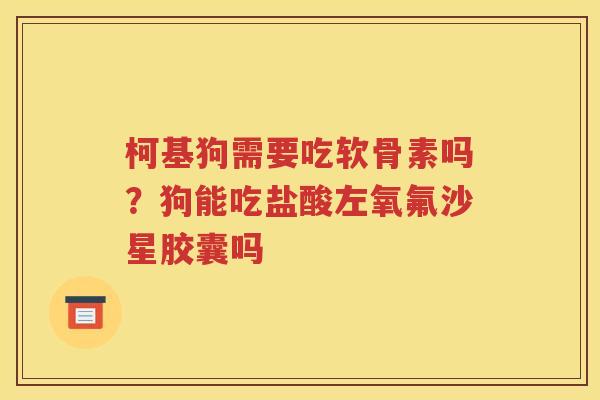 柯基狗需要吃软骨素吗?狗能吃盐酸左氧氟沙星胶囊吗 柯基狗需要吃软骨素吗?狗能吃盐酸左氧氟沙星胶囊吗