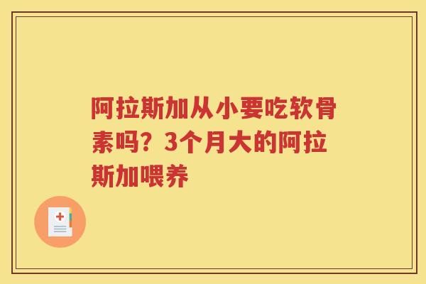 阿拉斯加从小要吃软骨素吗?3个月大的阿拉斯加喂养 阿拉斯加从小要吃软骨素吗?3个月大的阿拉斯加喂养