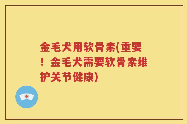 金毛犬用软骨素(重要!金毛犬需要软骨素维护关节健康) 金毛犬用软骨素(重要!金毛犬需要软骨素维护关节健康)