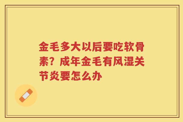 金毛多大以后要吃软骨素？成年金毛有要怎么办