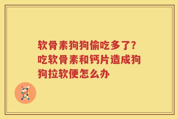 软骨素狗狗偷吃多了?吃软骨素和钙片造成狗狗拉软便怎么办 软骨素狗狗偷吃多了?吃软骨素和钙片造成狗狗拉软便怎么办