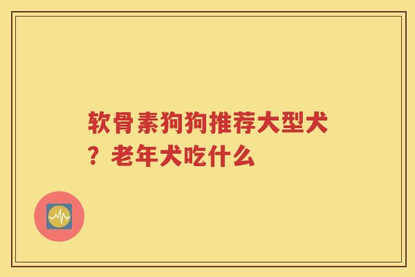 软骨素狗狗推荐大型犬?老年犬吃什么 软骨素狗狗推荐大型犬?老年犬吃什么