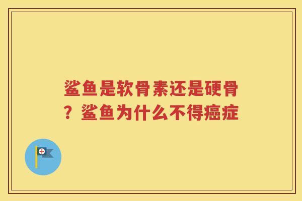 鲨鱼是软骨素还是硬骨?鲨鱼为什么不得症 鲨鱼是软骨素还是硬骨?鲨鱼为什么不得症
