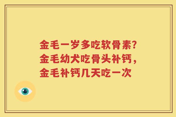 金毛一岁多吃软骨素?金毛幼犬吃骨头补钙,金毛补钙几天吃一次 金毛一岁多吃软骨素?金毛幼犬吃骨头补钙,金毛补钙几天吃一次