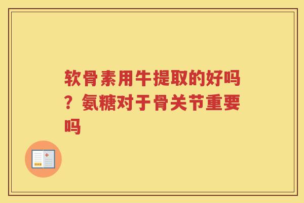软骨素用牛提取的好吗？氨糖对于骨关节重要吗