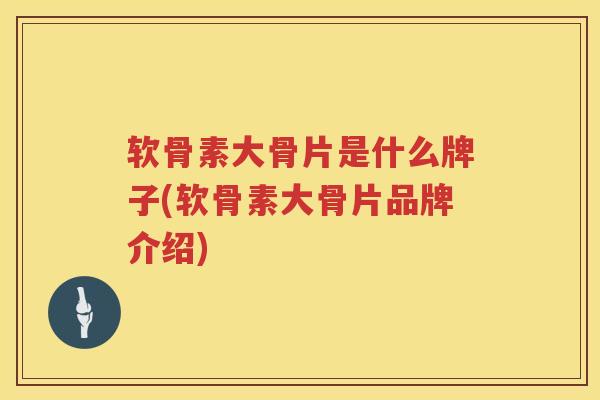 软骨素大骨片是什么牌子(软骨素大骨片品牌介绍)