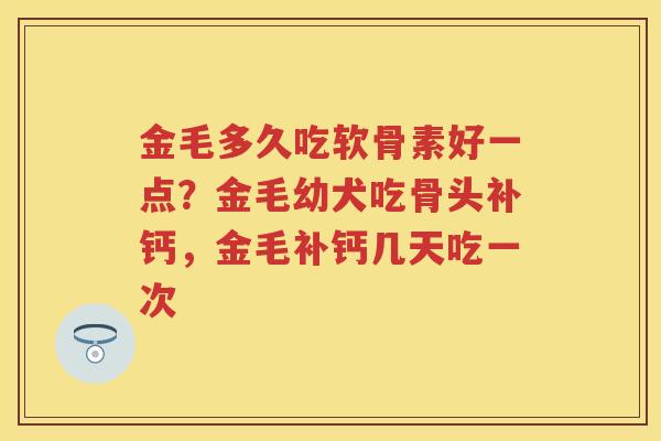 金毛多久吃软骨素好一点？金毛幼犬吃骨头补钙，金毛补钙几天吃一次