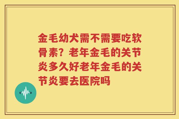 金毛幼犬需不需要吃软骨素?老年金毛的多久好老年金毛的要去医院吗 金毛幼犬需不需要吃软骨素?老年金毛的多久好老年金毛的要去医院吗