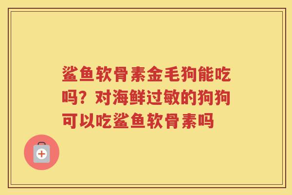 鲨鱼软骨素金毛狗能吃吗？对海鲜的狗狗可以吃鲨鱼软骨素吗