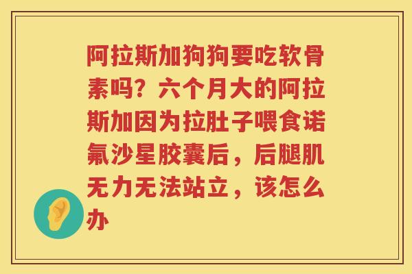 阿拉斯加狗狗要吃软骨素吗?六个月大的阿拉斯加因为拉肚子喂食诺氟沙星胶囊后,后腿肌无力无法站立,该怎么办 阿拉斯加狗狗要吃软骨素吗?六个月大的阿拉斯加因为拉肚子喂食诺氟沙星胶囊后,后腿肌无力无法站立,该怎么办