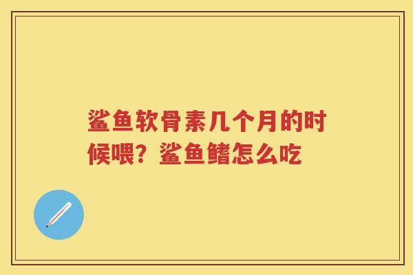 鲨鱼软骨素几个月的时候喂?鲨鱼鳍怎么吃 鲨鱼软骨素几个月的时候喂?鲨鱼鳍怎么吃