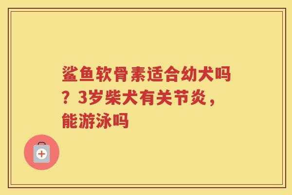 鲨鱼软骨素适合幼犬吗?3岁柴犬有,能游泳吗 鲨鱼软骨素适合幼犬吗?3岁柴犬有,能游泳吗