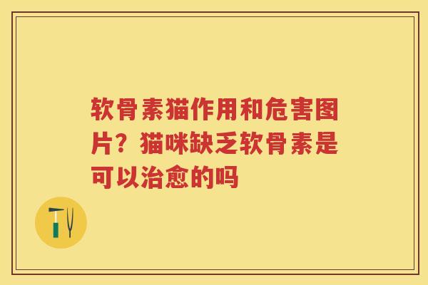 软骨素猫作用和危害图片?猫咪缺乏软骨素是可以愈的吗 软骨素猫作用和危害图片?猫咪缺乏软骨素是可以愈的吗
