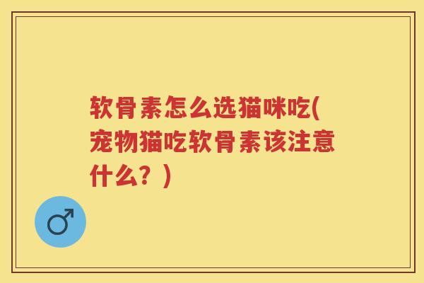 软骨素怎么选猫咪吃(宠物猫吃软骨素该注意什么?) 软骨素怎么选猫咪吃(宠物猫吃软骨素该注意什么?)