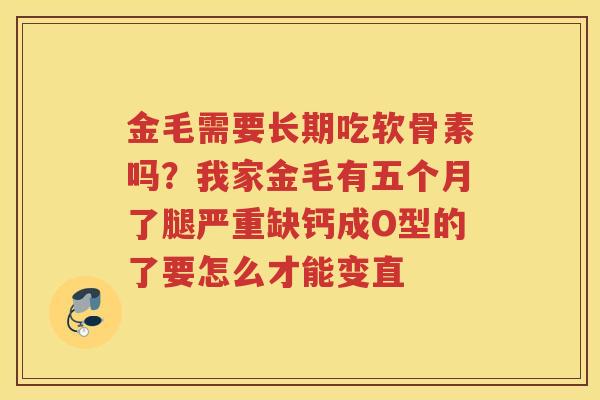金毛需要长期吃软骨素吗?我家金毛有五个月了腿严重缺钙成O型的了要怎么才能变直 金毛需要长期吃软骨素吗?我家金毛有五个月了腿严重缺钙成O型的了要怎么才能变直