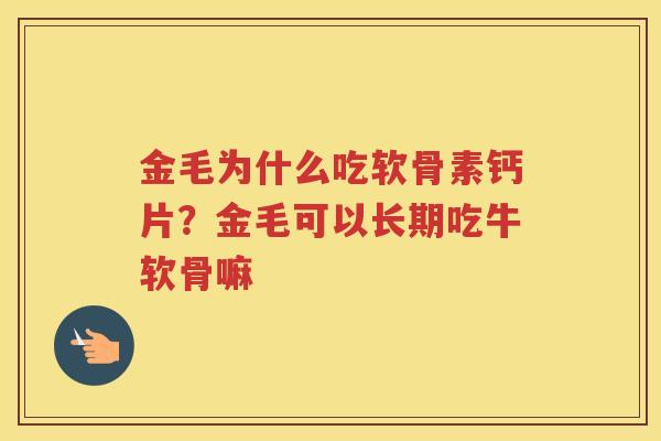 金毛为什么吃软骨素钙片？金毛可以长期吃牛软骨嘛