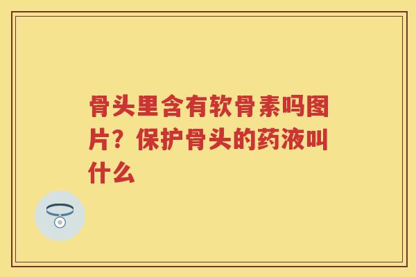 骨头里含有软骨素吗图片?保护骨头的药液叫什么 骨头里含有软骨素吗图片?保护骨头的药液叫什么