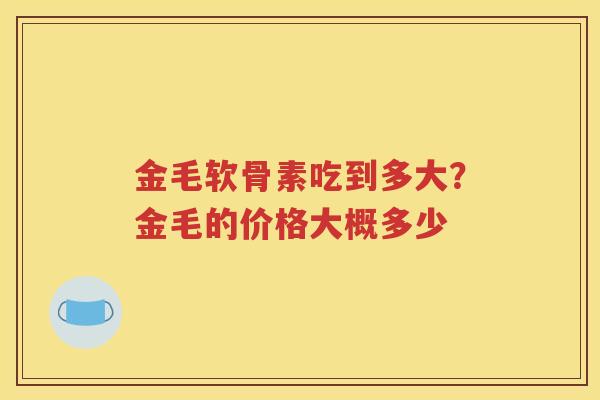 金毛软骨素吃到多大?金毛的价格大概多少 金毛软骨素吃到多大?金毛的价格大概多少
