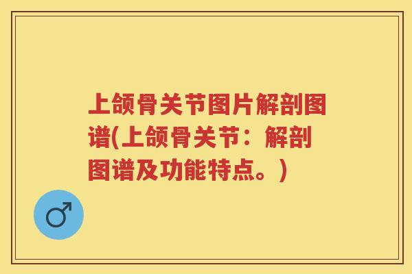 上颌骨关节图片解剖图谱(上颌骨关节：解剖图谱及功能特点。)