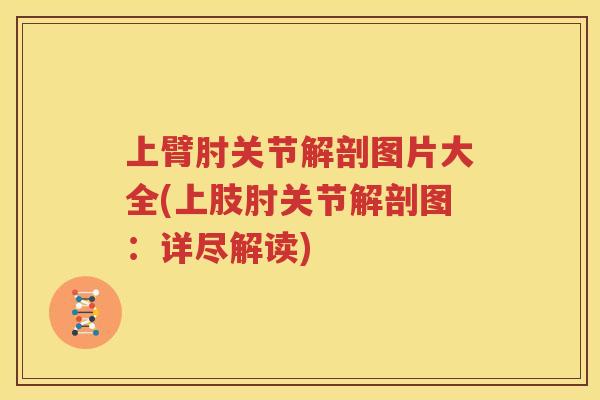 上臂肘关节解剖图片大全(上肢肘关节解剖图:详尽解读) 上臂肘关节解剖图片大全(上肢肘关节解剖图:详尽解读)