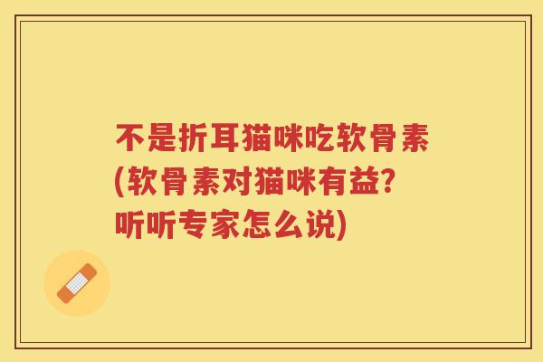 不是折耳猫咪吃软骨素(软骨素对猫咪有益?听听专家怎么说) 不是折耳猫咪吃软骨素(软骨素对猫咪有益?听听专家怎么说)