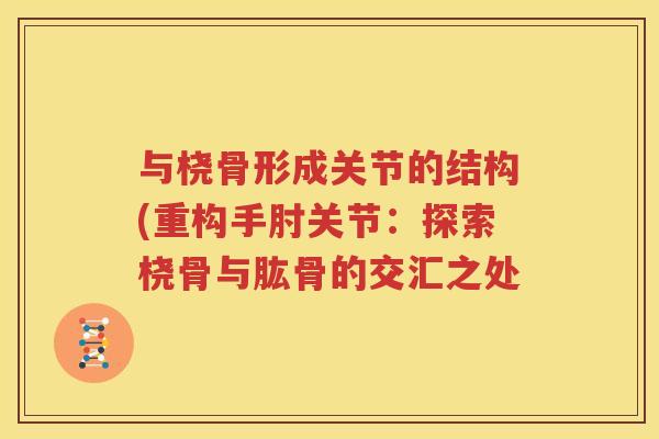 与桡骨形成关节的结构(重构手肘关节:探索桡骨与肱骨的交汇之处 与桡骨形成关节的结构(重构手肘关节:探索桡骨与肱骨的交汇之处