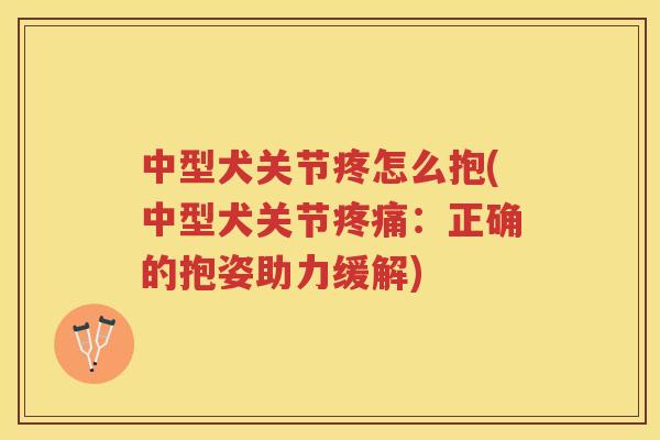 中型犬关节疼怎么抱(中型犬关节：正确的抱姿助力缓解)