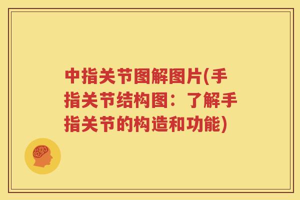 中指关节图解图片(手指关节结构图:了解手指关节的构造和功能) 中指关节图解图片(手指关节结构图:了解手指关节的构造和功能)