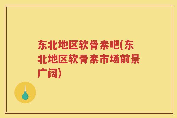东北地区软骨素吧(东北地区软骨素市场前景广阔)