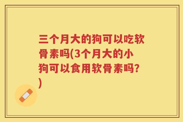 三个月大的狗可以吃软骨素吗(3个月大的小狗可以食用软骨素吗？)