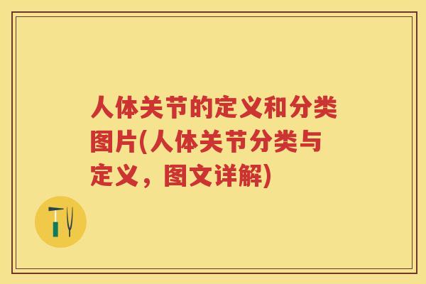 人体关节的定义和分类图片(人体关节分类与定义,图文详解) 人体关节的定义和分类图片(人体关节分类与定义,图文详解)