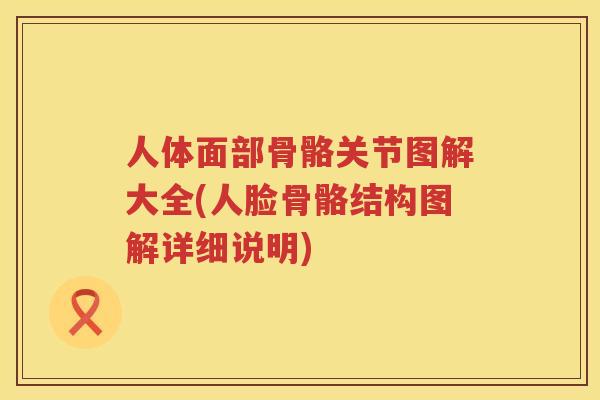 人体面部骨骼关节图解大全(人脸骨骼结构图解详细说明) 人体面部骨骼关节图解大全(人脸骨骼结构图解详细说明)