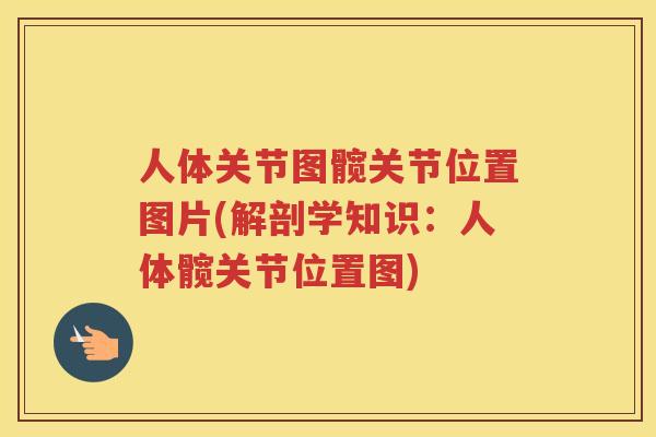 人体关节图髋关节位置图片(解剖学知识:人体髋关节位置图) 人体关节图髋关节位置图片(解剖学知识:人体髋关节位置图)