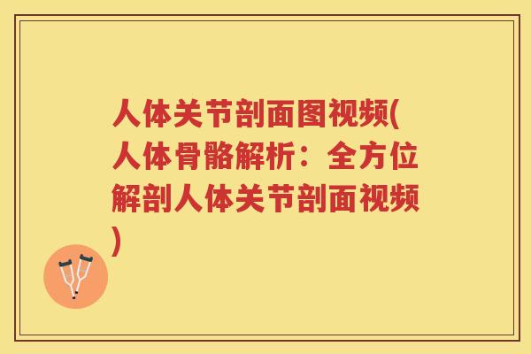 人体关节剖面图视频(人体骨骼解析：全方位解剖人体关节剖面视频)