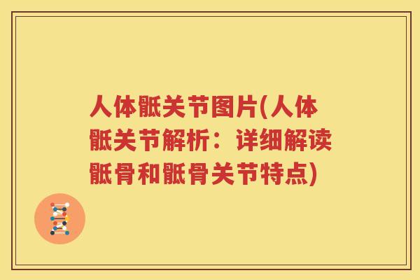 人体骶关节图片(人体骶关节解析:详细解读骶骨和骶骨关节特点) 人体骶关节图片(人体骶关节解析:详细解读骶骨和骶骨关节特点)