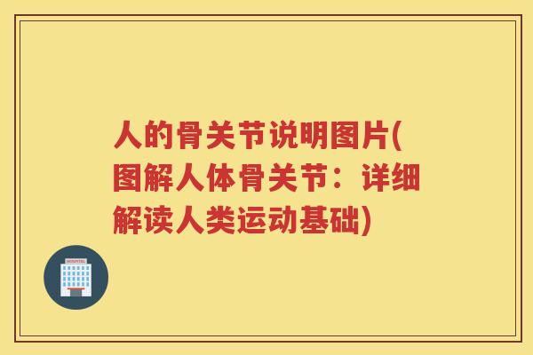 人的骨关节说明图片(图解人体骨关节:详细解读人类运动基础) 人的骨关节说明图片(图解人体骨关节:详细解读人类运动基础)