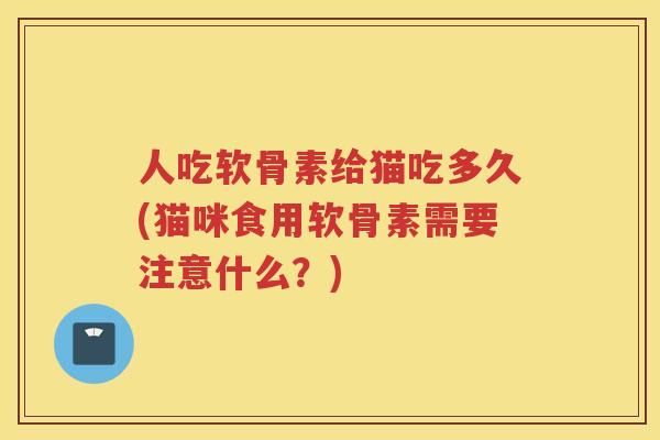 人吃软骨素给猫吃多久(猫咪食用软骨素需要注意什么？)