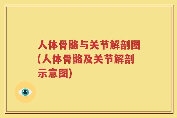 人体骨骼与关节解剖图(人体骨骼及关节解剖示意图) 人体骨骼与关节解剖图(人体骨骼及关节解剖示意图)