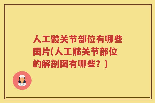 人工髋关节部位有哪些图片(人工髋关节部位的解剖图有哪些?) 人工髋关节部位有哪些图片(人工髋关节部位的解剖图有哪些?)