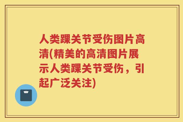 人类踝关节受伤图片高清(精美的高清图片展示人类踝关节受伤，引起广泛关注)