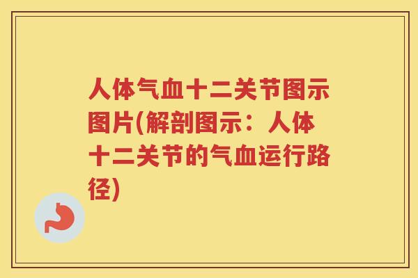 人体气十二关节图示图片(解剖图示：人体十二关节的气运行路径)