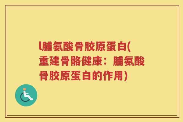l脯氨酸骨胶原蛋白(重建骨骼健康：脯氨酸骨胶原蛋白的作用)